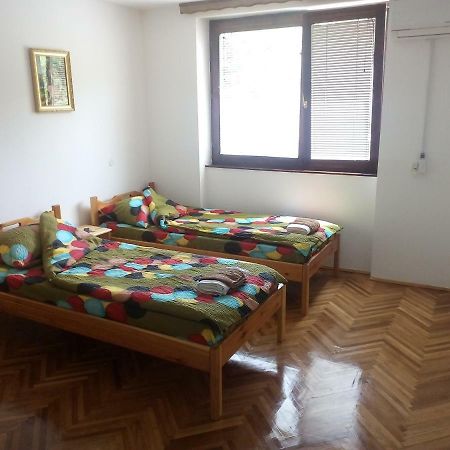 Apartman Rile Apartment Visegrad Bagian luar foto